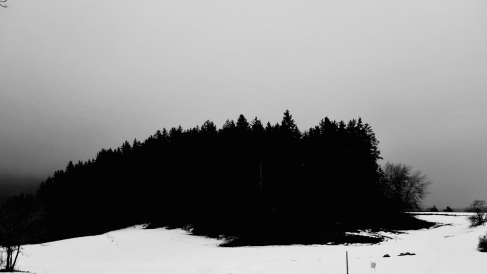 Donker winterlandschap zonder zon — het seizoen van lage vitamine D