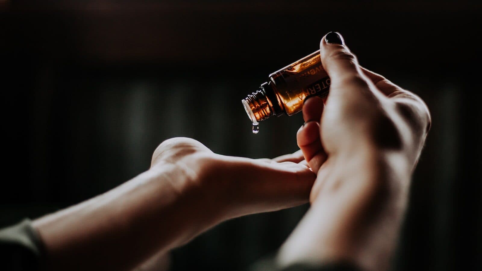 Adaptogens en adaptogenen — gedroogde kruiden op houten lepels bij daglicht