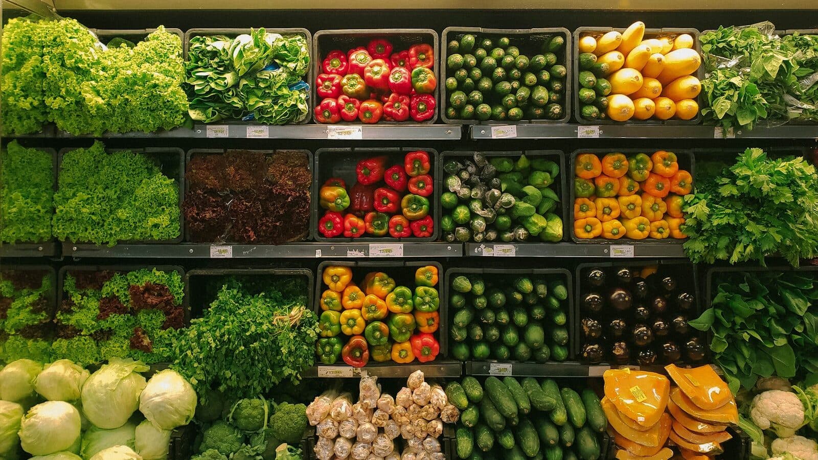Gevarieerd bord met groenten en vis — voeding vóór een multivitamine